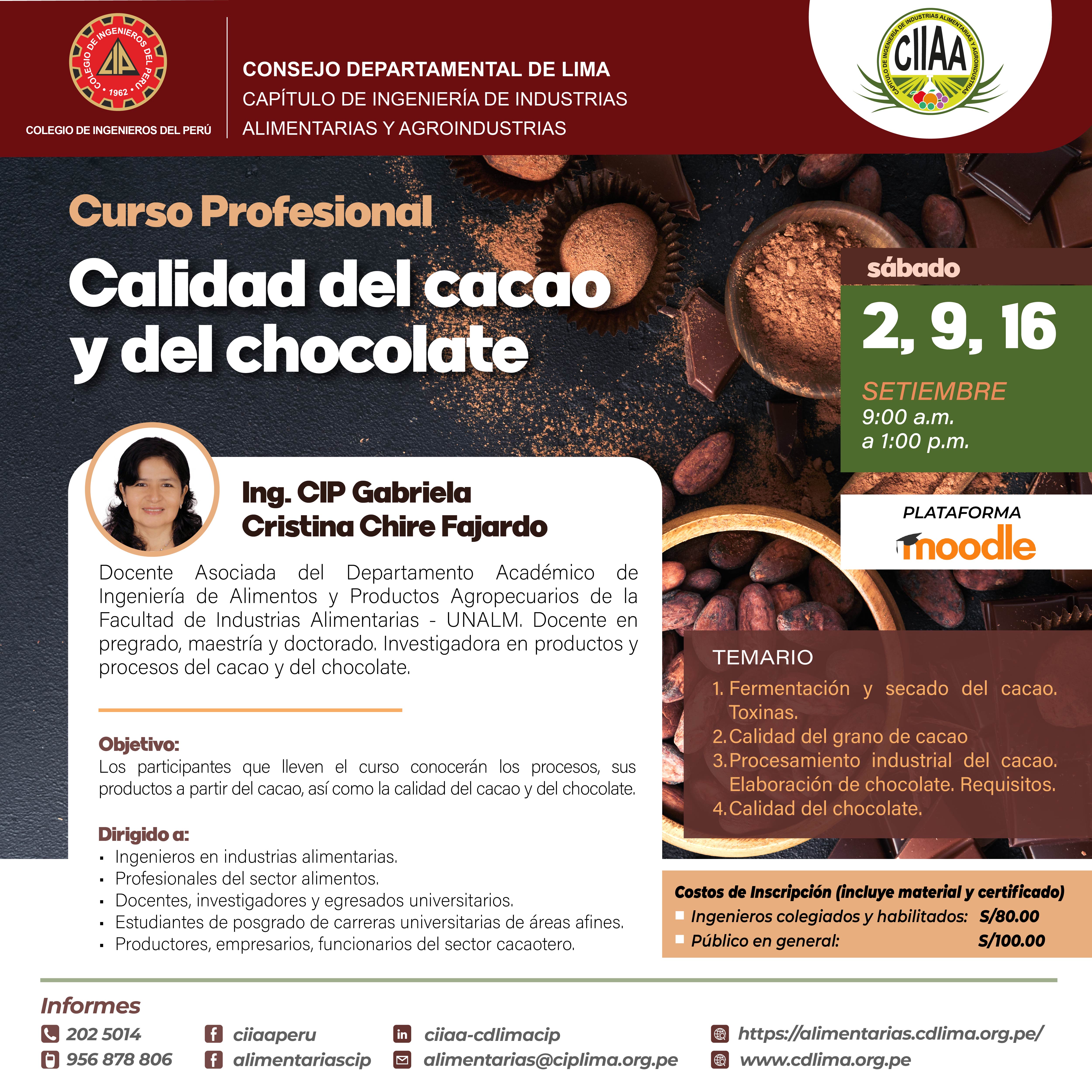 Curso Profesional Calidad del cacao y del chocolate